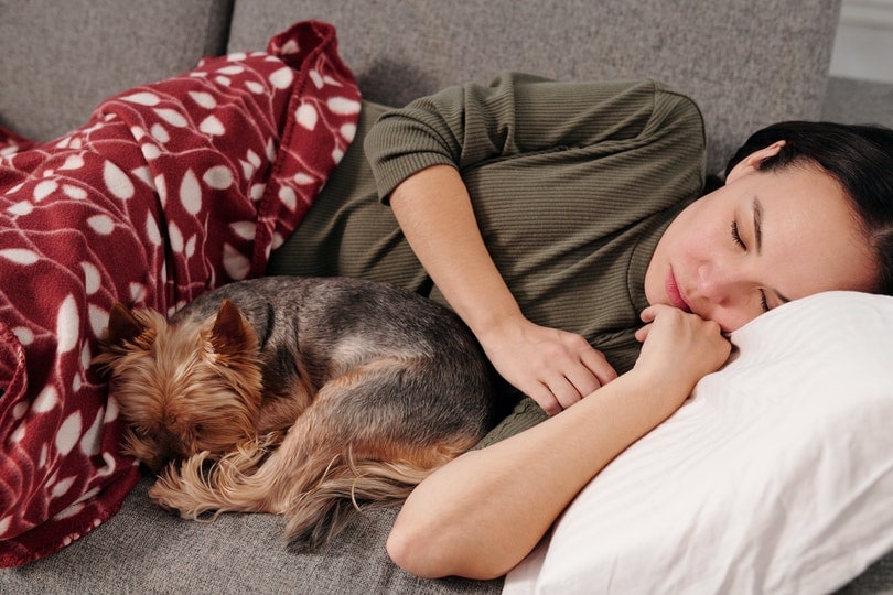 Why Do Dogs Sleep With Their Bum Facing You? 13 Common Reasons & How To Stop It?