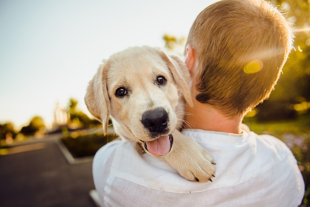 How Long Can A Puppy Go Without Eating