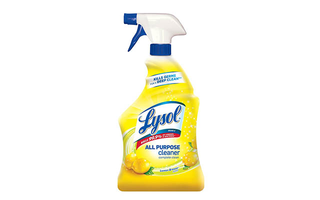 Does Lysol Kill Fleas? All You Want to Know