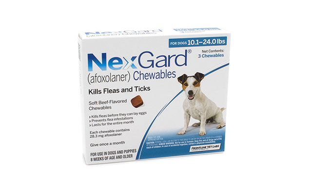 How Does Nexgard Work? How It Works for Your Dog?