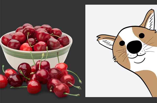 Can Dogs Eat Cherries? Is It Safe?
