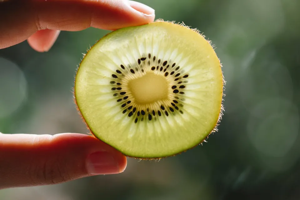 Can Dogs Eat Kiwi? Essential Things You Need to Know