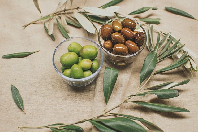 Can Dogs Eat Olives? Are Olives Safe for Dogs?