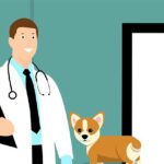 How Often Should I Take My Dog to the Vet Guide for Caring