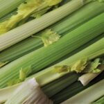 Can Dogs Eat Celery​ Is It Safe
