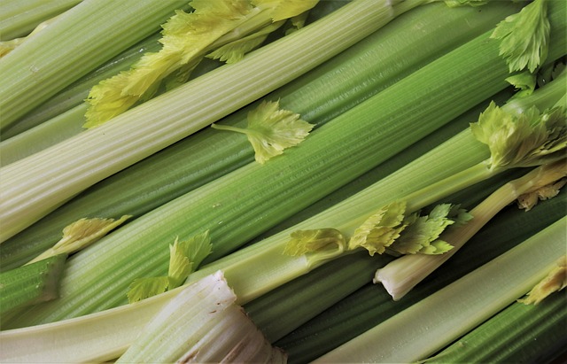 Can Dogs Eat Celery?​ Is It Safe?