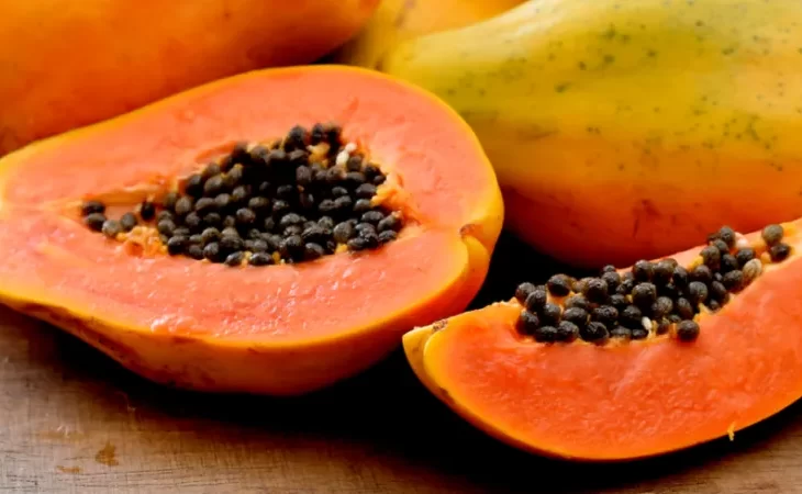 Can Dogs Eat Papaya? Find the Answer