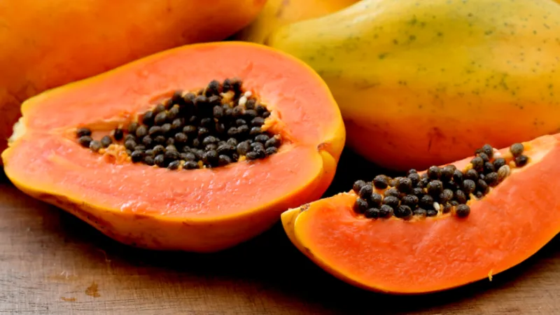 Can Dogs Eat Papaya? Find the Answer